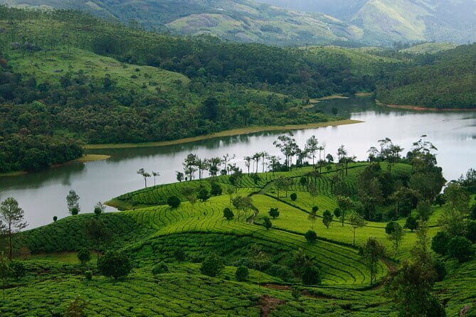 Day Trip to Athirappilly Water Falls by Kochi Taxi - Price and Value Check: What You’re Really Paying For