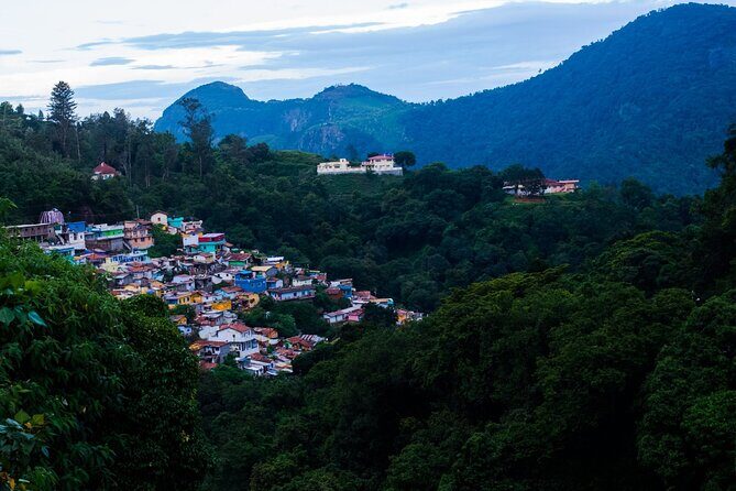 Day Trip to Coonoor (Guided Sightseeing Tour by Car from Ooty) - Coonoor Itself: Tea Estates, Sim’s Park, and Classic Hill-Station Vibes
