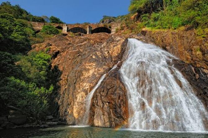 Day Trip to Mollem National Park Including Dudhsagar Falls and Jeep Safari from Goa - Price and What You’re Paying For (Really)