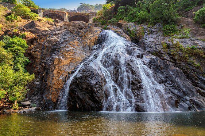 Day Trip to Mollem National Park Including Dudhsagar Falls and Jeep Safari from Goa - Sahakari Spice Farm: A Short, Focused Lesson With Real Farm Details