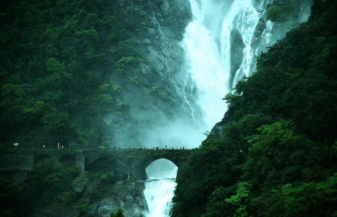 Day Trip to Mollem National Park Including Dudhsagar Falls and Jeep Safari from Goa - Who This Tour Fits Best (And Who Might Skip It)
