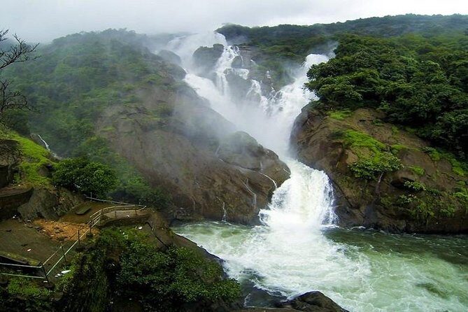 Day Trip to Mollem National Park Including Dudhsagar Falls and Jeep Safari from Goa - Dudhsagar Falls: Swimming, Picnic Time, and the Optional Upper View