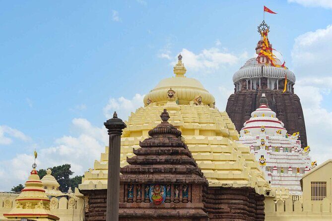 Day Trip to Puri (Guided Private Sightseeing Experience from Bhubaneswar) - Key highlights to plan for