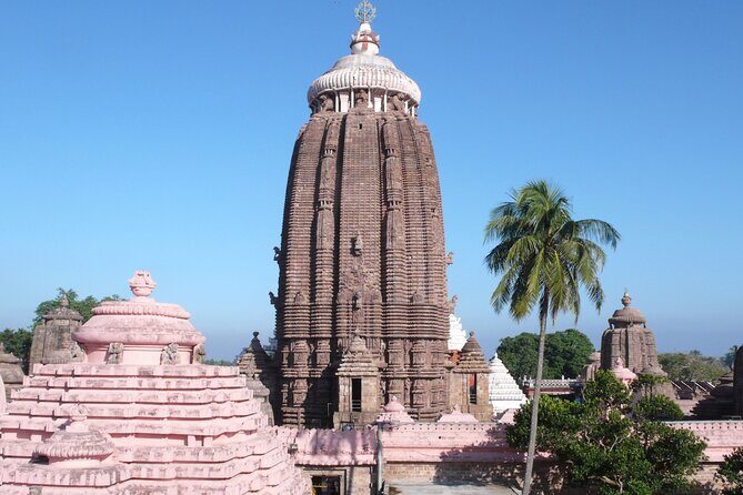 Day Trip to Puri (Guided Private Sightseeing Experience from Bhubaneswar) - Why a private Puri day trip beats cabs and bus chaos