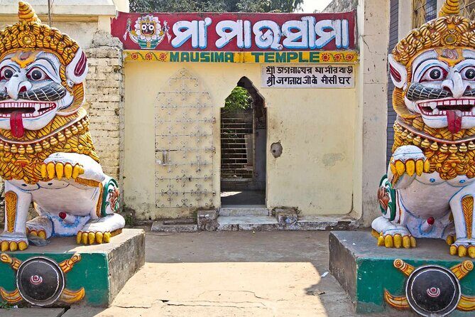 Day Trip to Puri (Guided Private Sightseeing Experience from Bhubaneswar) - Who should book this, and who should think twice
