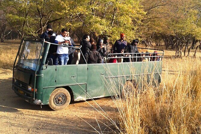 Day Trip to Ranthambore Tiger Reserve from Jaipur - Included value: what you’re actually paying for (and what you’re not)
