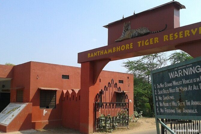 Day Trip to Ranthambore Tiger Reserve from Jaipur - Jeep vs canter safari: how to choose based on availability