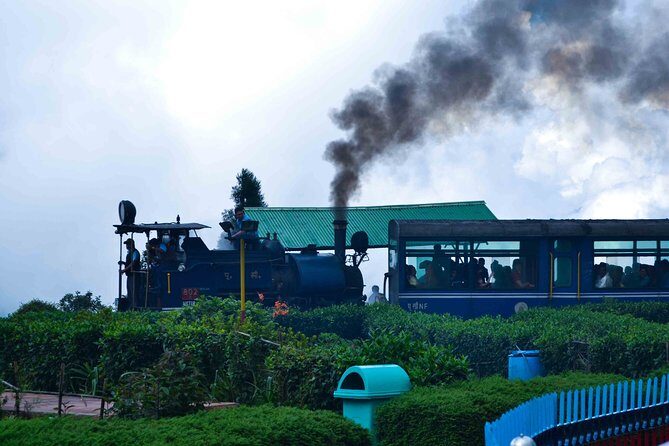 Day_Trippers (Darjeeling Full Day Tour). - Why a private Darjeeling highlights day works so well