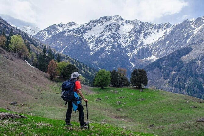 Dayara Bugyal and Surya Top Trek - Day 2 to Gui Main Campsite: breakfast, forest trails, and a Dayara entry photo