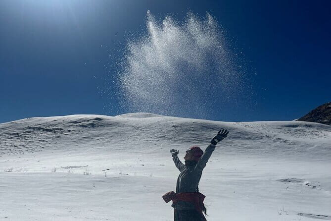 Dayara Bugyal and Surya Top Trek - Guides, permits, and gear: why this package is more than transport