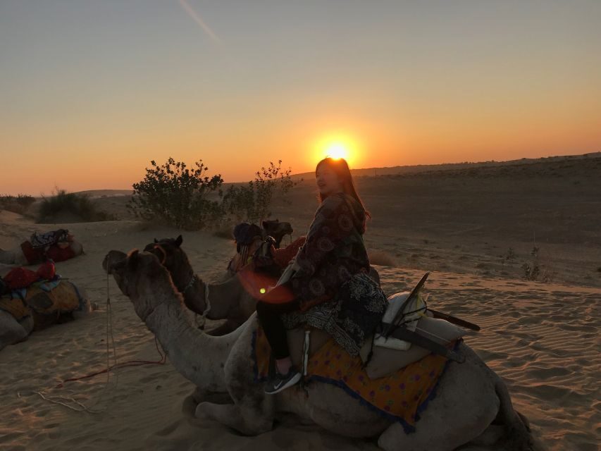 Dazzling Half Day Camel & Desert Safari With Sunset & Dinner - Key things that make this Thar camel safari work