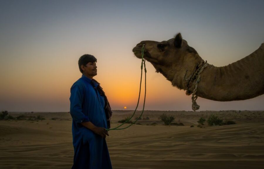Dazzling Half Day Camel & Desert Safari With Sunset & Dinner - Practical tips so your sunset dinner goes smoothly