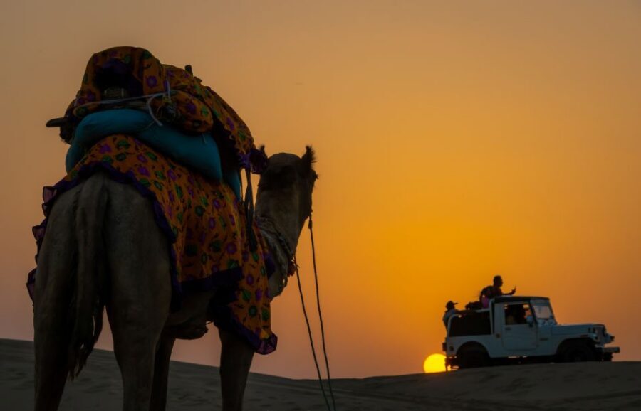 Dazzling Half Day Camel & Desert Safari With Sunset & Dinner - Price and value: what $32 includes and what it doesn’t