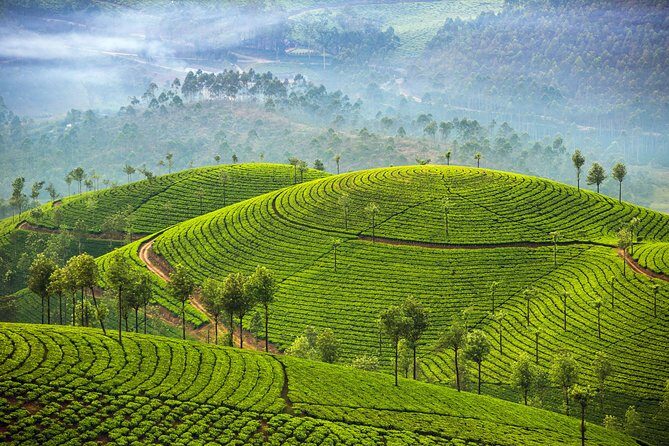 Deep South of India - Kerala and Tamil Nadul - Starting in Kochi: Fort Kochi is where the trip feels like India