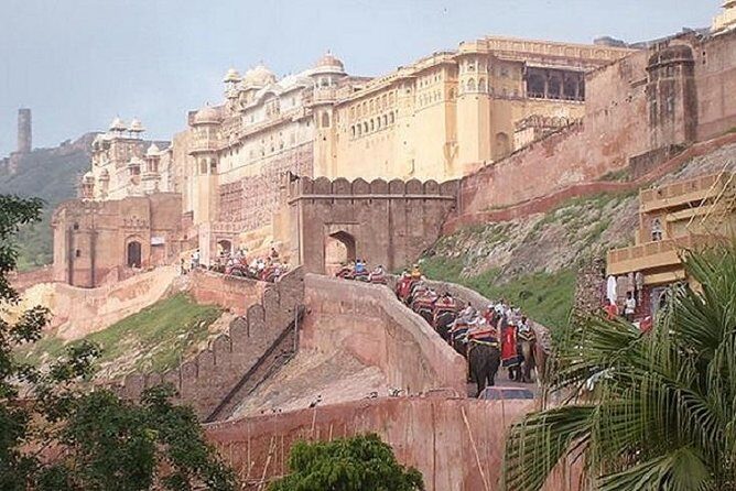 Delhi Agra Jaipur Tour with Ranthambore Wildlife Safari - Key Takeaways Before You Go