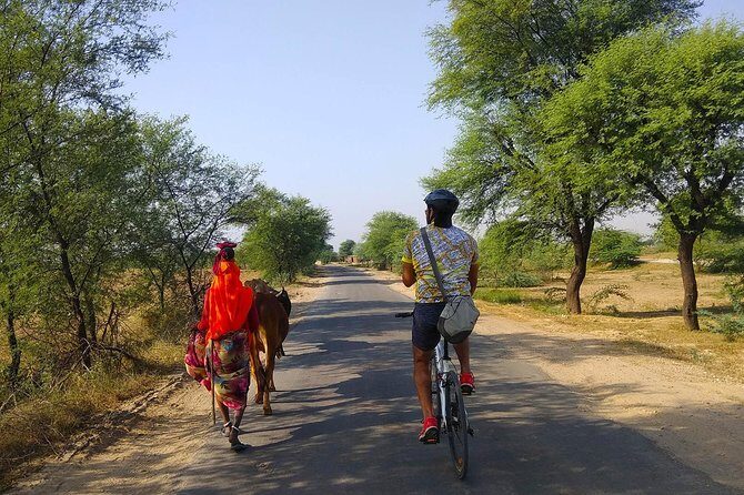 Delhi- Agra Long Distance Bicycle Trip - The ride setup: bikes, AC vehicle, and a max of 2 cyclists