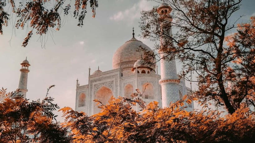Delhi Airport to Taj Mahal Tour Instant Booking - A practical “transit-friendly” route to Agra