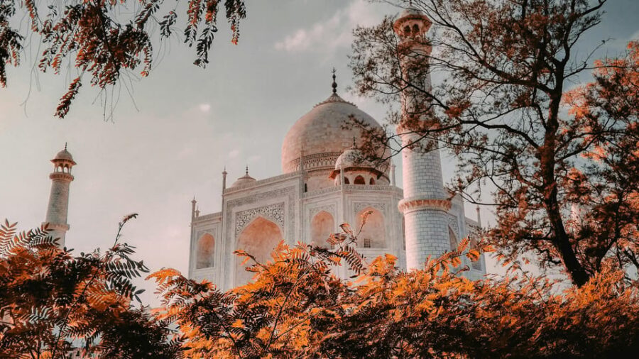 Delhi Airport to Taj Mahal Tour Instant Booking - Agra Fort: a second monument with a different mood