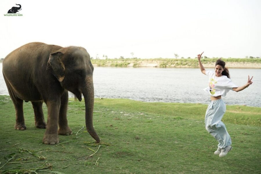 Delhi: All-Inclusive Day trip Taj Mahal with Elephant SOS - Agra Fort After Taj Mahal: Optical Illusions and Views to Remember