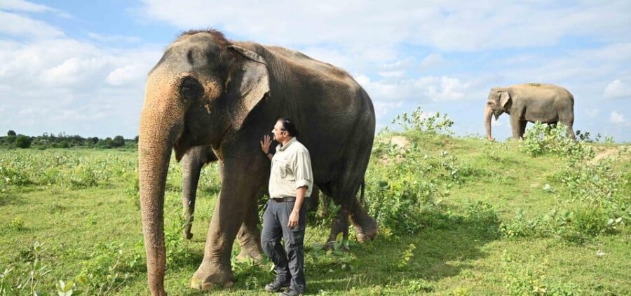 Delhi: All-Inclusive Day trip Taj Mahal with Elephant SOS - Wildlife SOS Elephant Conservation and Care Center: Donation, Zone Choice, and Care Stories