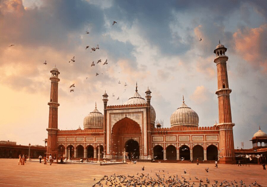 Delhi: Old Delhi & New Delhi Full & Half Day Private Tour - Lunch and local food: keep it optional, keep it real