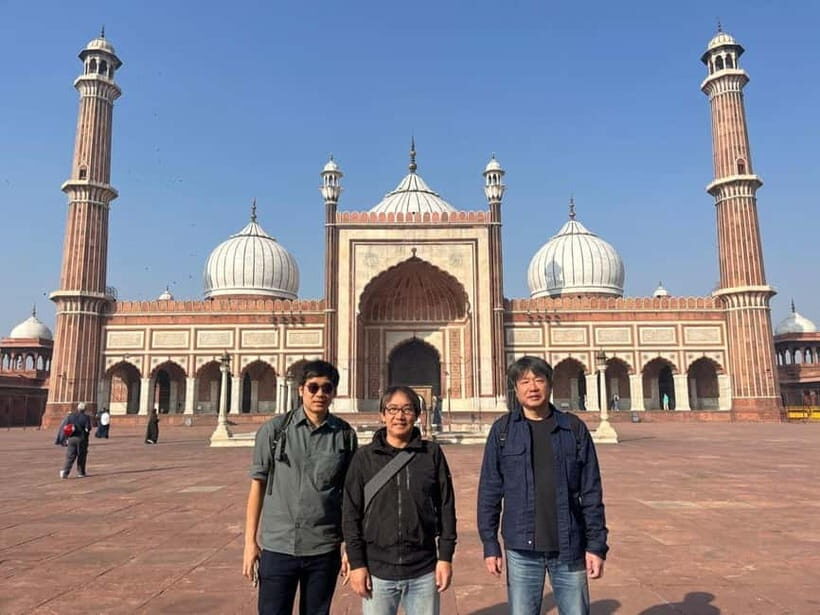 Delhi: Old & New Delhi Private Full Day or Half Day Tour - Picking up fast: getting around without losing your whole day