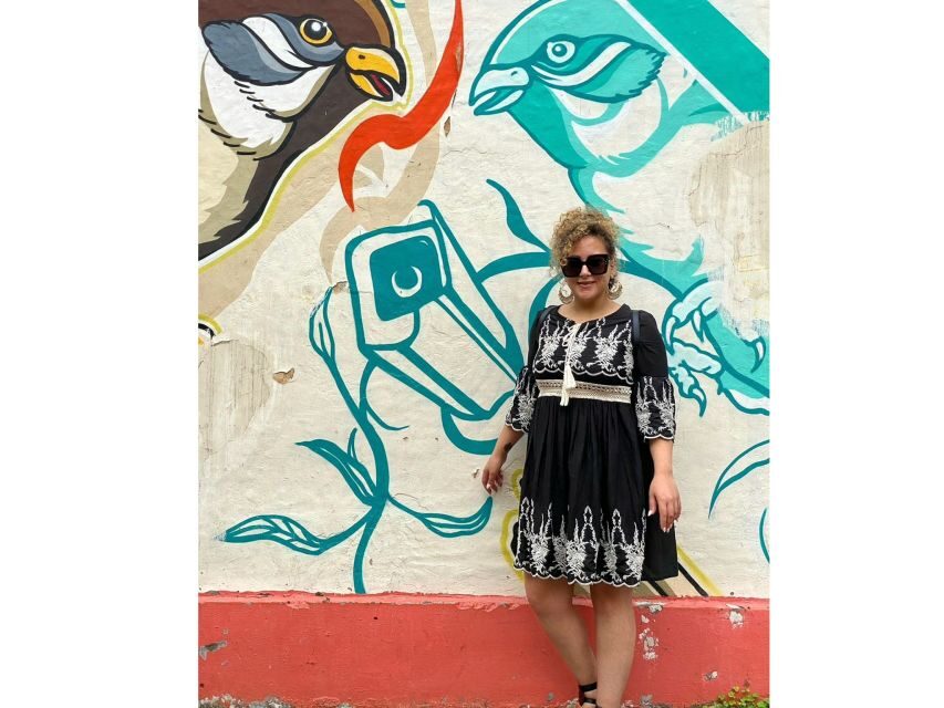 Delhi Street Art Tour: Explore the Murals & Visit a Stepwell - Should You Book This Delhi Street Art and Stepwell Tour?