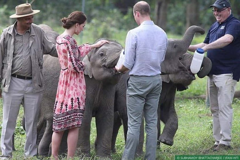 Delhi: Sunrise Taj Mahal & Elephant SOS Tour with Transfers - Should you book this Delhi-to-Agra Taj Mahal and Elephant SOS tour?
