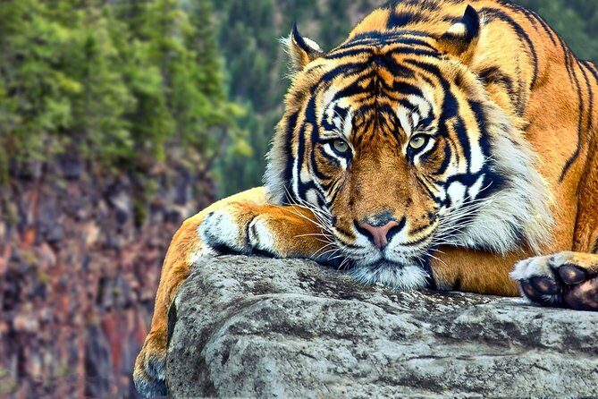 Delhi to Ranthambore Daily Tiger Safari Tour - Day 1: Drive in from Delhi and get your first sights