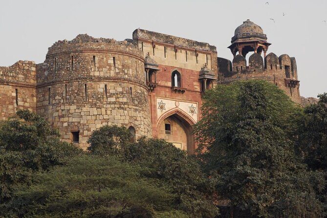 Delhi Zoo White Tigers & lions with Old Fort Visit - Key points to know before you go