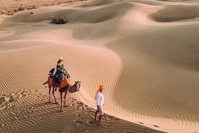 Desert Camel & Jeep Safari Private Tour From Jodhpur - Quick highlights you’ll actually care about