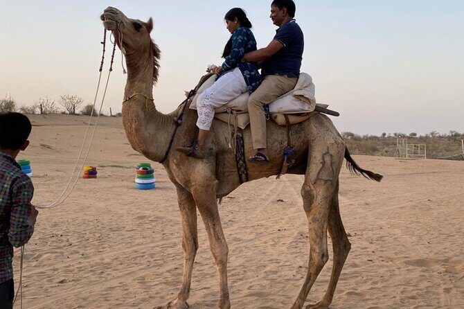 Desert Camel & Jeep Safari Private Tour From Jodhpur - Price and value: is $50 per person a fair deal?