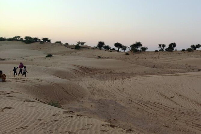 Desert Camel & Jeep Safari Private Tour From Jodhpur - Pickup to Osian: temple time and real travel comfort