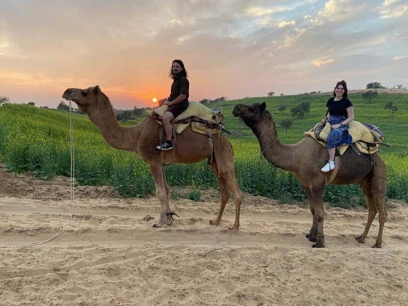 Desert Camel Safari Day Trip From Jodhpur - Thar Desert camel safari: 45–60 minutes that feel like more