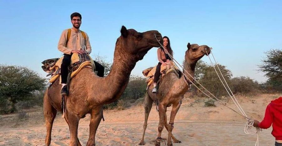 Desert Camel Safari Day Trip From Jodhpur - Price and value: why $21 can work here (and when it won’t)