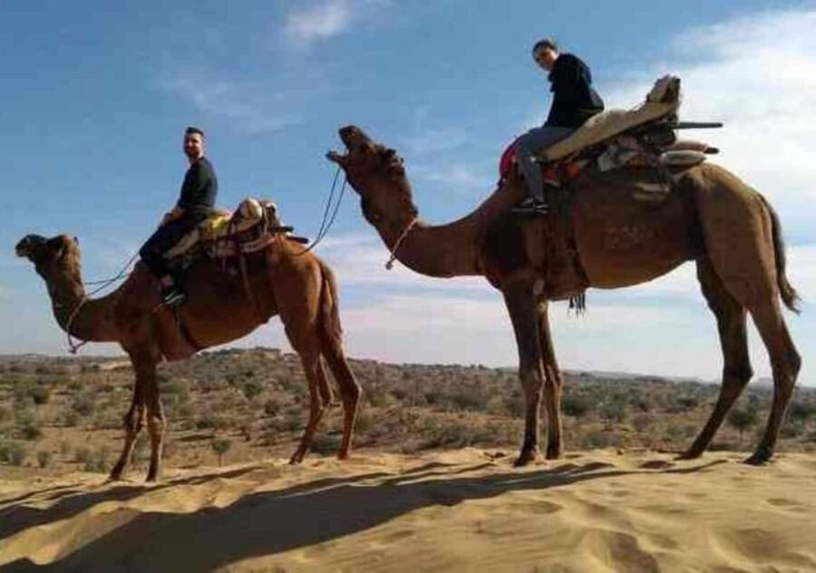 Desert Camel Safari Day Trip From Jodhpur - Who should book this camel safari day trip