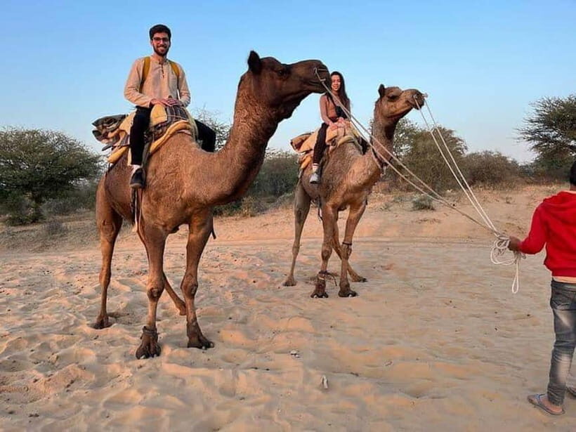 Desert Camel Safari Day Trip From Jodhpur - Sachiya Mata Temple: a self-guided stop that sets the tone
