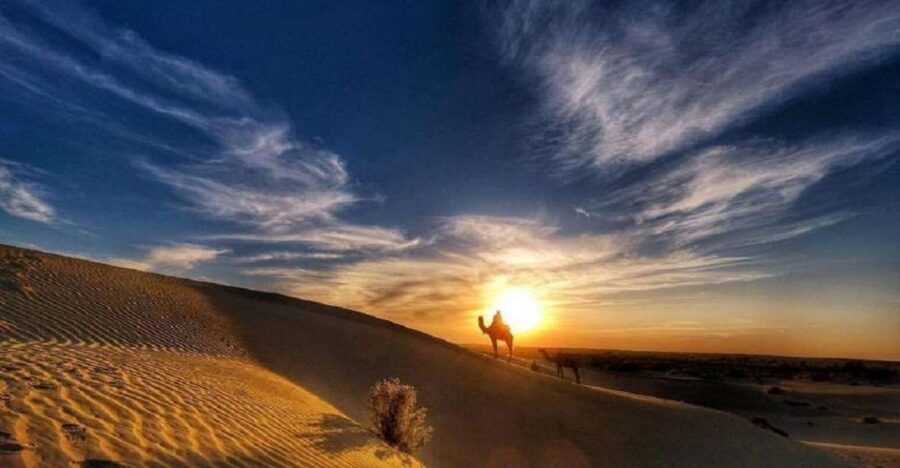 Desert Rose Jaisalmer: Overnight Stay Middle of Thar Desert - How the Thar Desert night safari runs from Jaisalmer