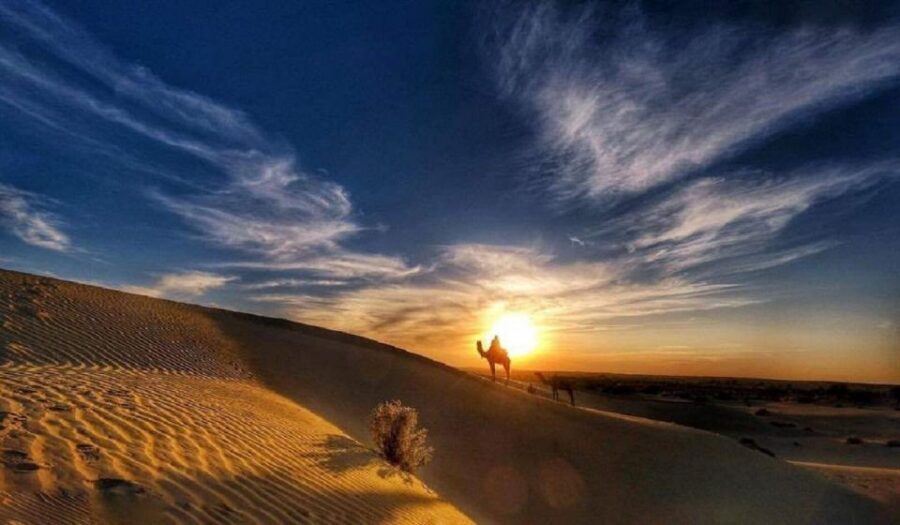 Desert Rose Jaisalmer: Overnight Stay Middle of Thar Desert - Camel time: sunset ride and the shorter morning follow-up