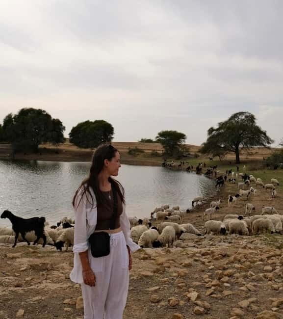 Desert Tour Jaisalmer - Price and value: why $26 can feel generous