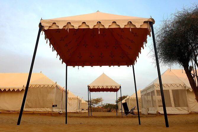 Desert Tour with Camel Safari, jeep safari - accommodation in luxury Swiss tent - Key Highlights at a Glance