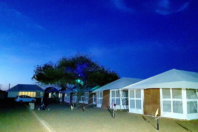 Desert Tour with Camel Safari, jeep safari - accommodation in luxury Swiss tent - Day 1: Camel Safari in Khuri (Slow Travel With Real Local Vibes)