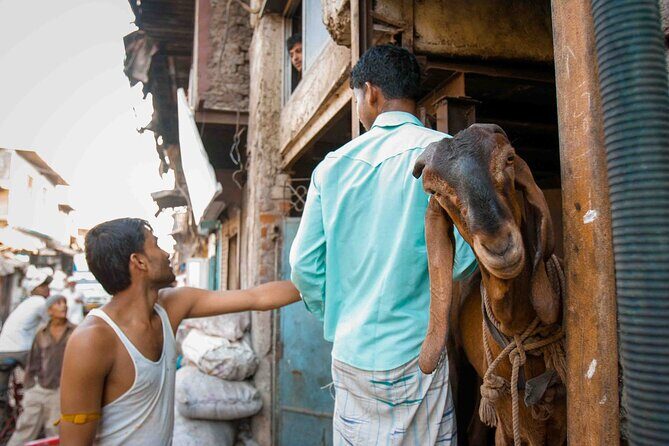 Dharavi Tour Including Car Transfer - Who this Dharavi tour fits best