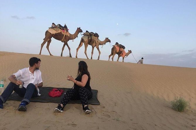 Dinner on the Dunes & Camel Safari - Quick highlights before you commit