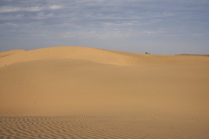 Dinner on the Dunes & Camel Safari - Pickup, start times, and how the day flows (2pm vs 3pm)
