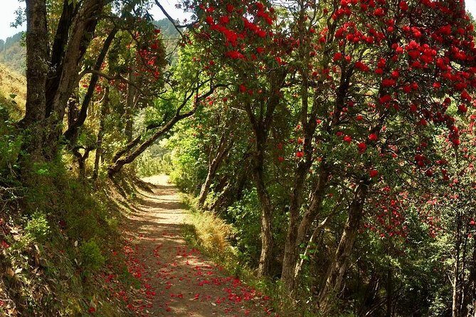 Discover Dehradun: Private City Tour - First impressions: a smart sampler of Dehradun