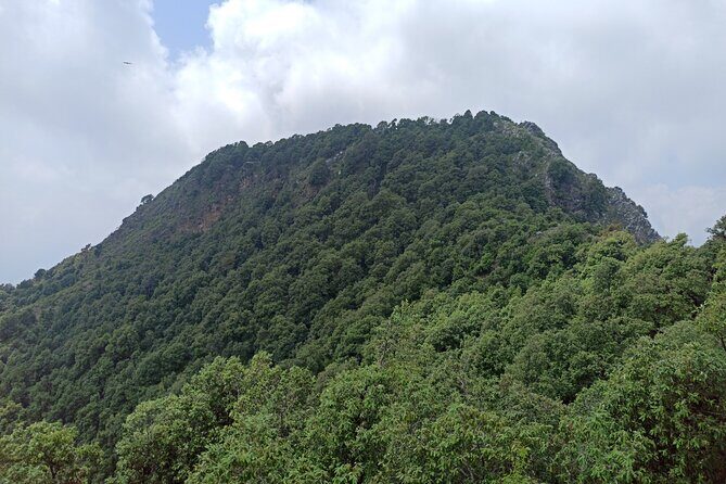 Discover Dehradun: Private City Tour - Paltan Bazaar: an easy 40 minutes to feel the city