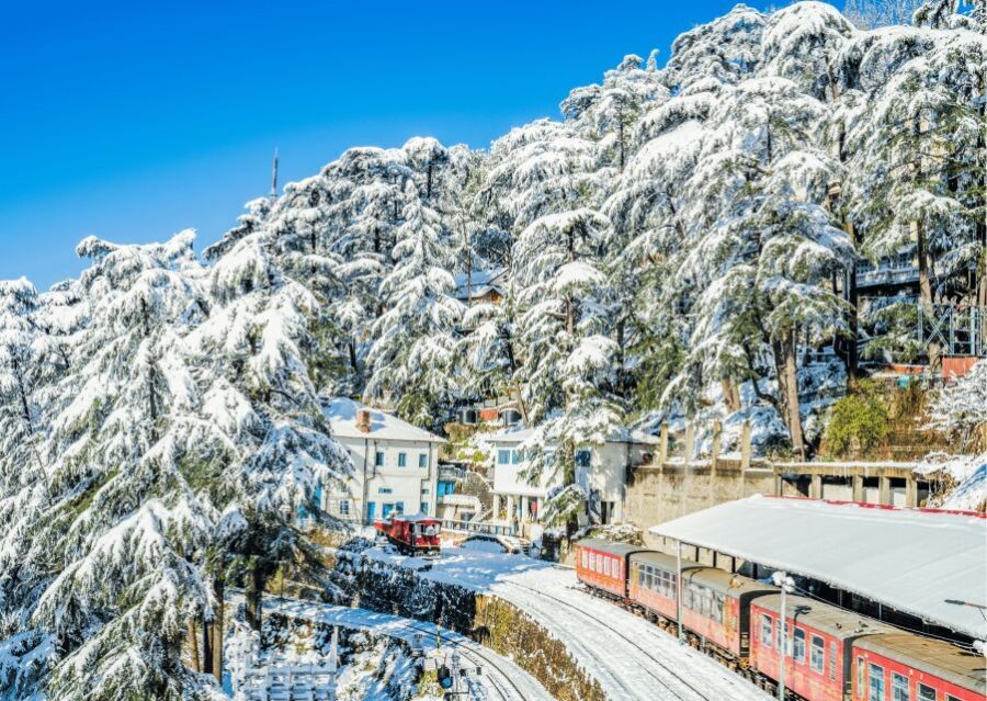Discover the Colonial Trails of Shimla- Guided Walking Tour - Price and Pacing: $14 for 2 Hours That Actually Hits Several Themes