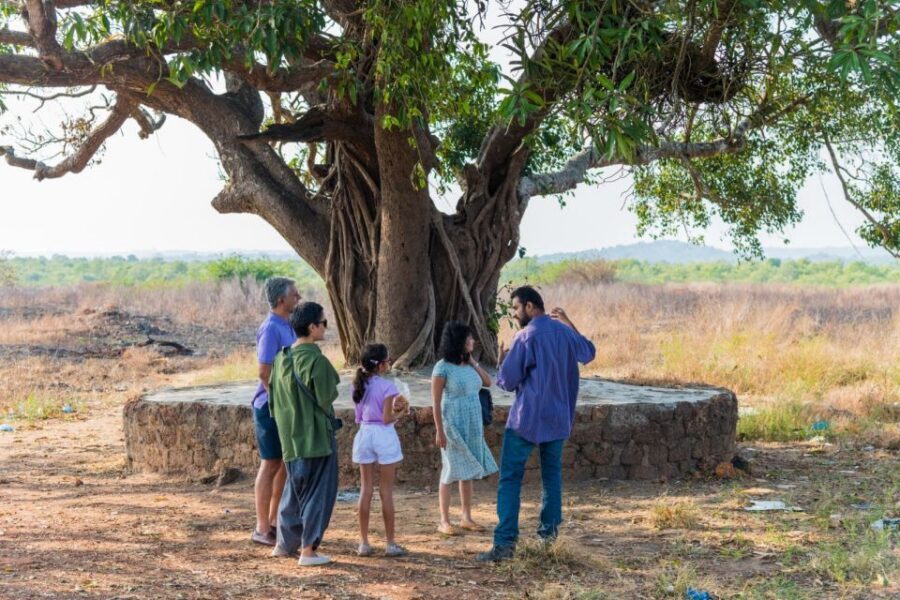 Divar Island: Local Goan Village Tour with Traditional Lunch - Key Points Before You Go