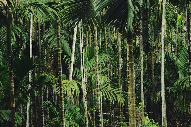 Dudhsagar waterfall wildlife & spice plantation Tour in Goa - Price and value: is $122 per person fair?